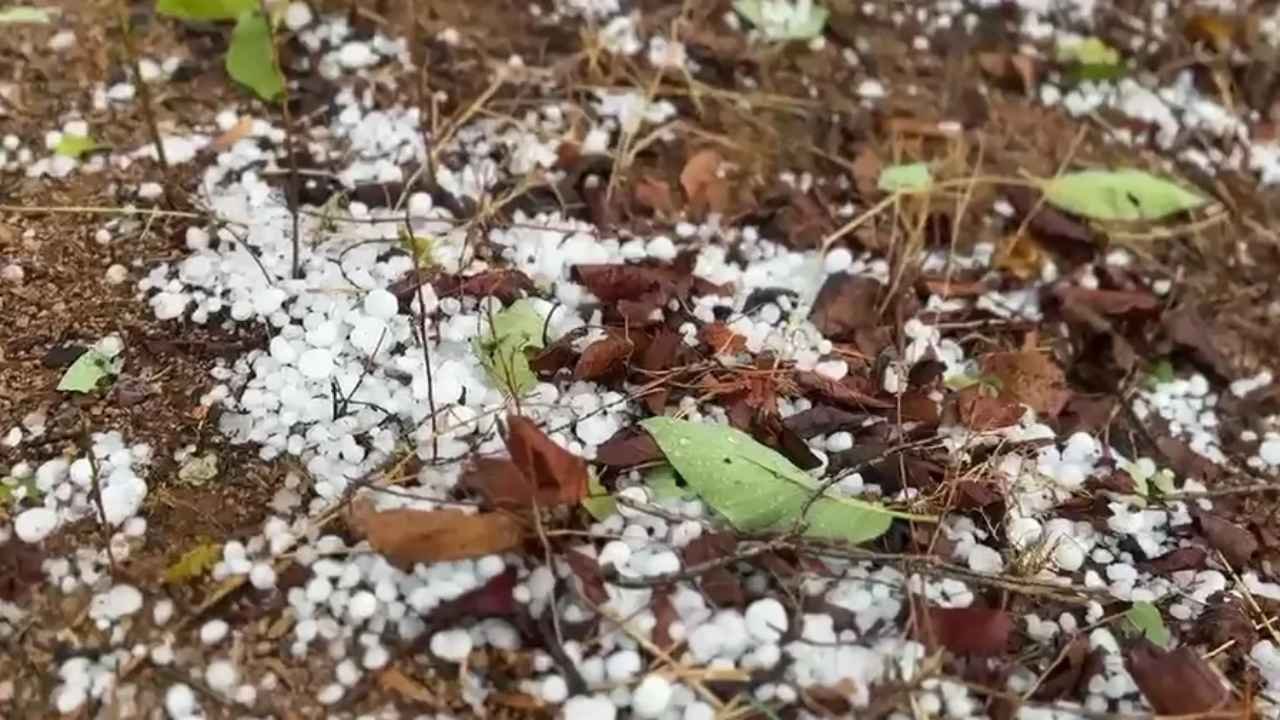 छत्तीसगढ़ का मौसम अचानक बदला: तपती गर्मी के बीच बारिश और ओलों ने दी राहत, अलर्ट जारी
