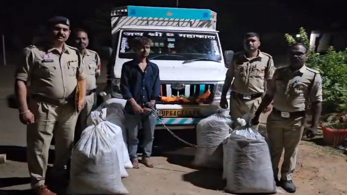 65 लाख का गांजा जब्त, सब्जी के कैरेट के नीचे छिपाकर यूपी ले जाया जा रहा था माल
