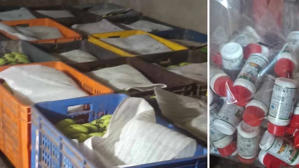 खैरागढ़ में खाद्य सुरक्षा विभाग की बड़ी कार्रवाई से फलों में मिलावट और रसायनों का खुलासा, सड़े-गले फल नष्ट कर सख्त चेतावनी जारी