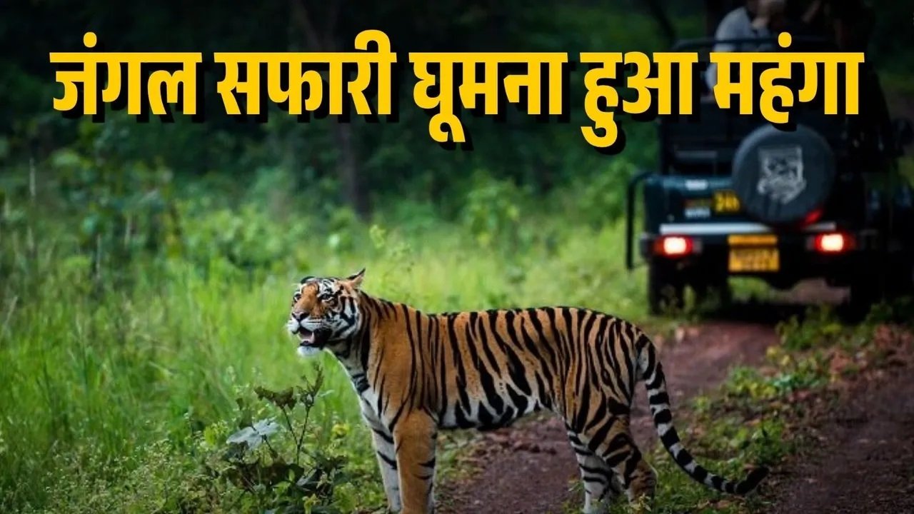 पर्यटन पर असर या नई व्यवस्था का संकेत, नंदनवन जू और जंगल सफारी की नई दरों ने बढ़ाई हलचल