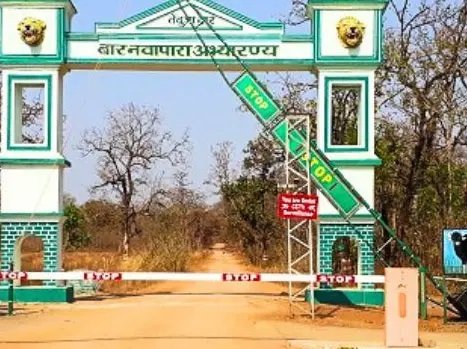 बारनवापारा अभयारण्य में नियमों के उल्लंघन की खबरों पर वन विभाग का स्पष्टीकरण, जांच में नहीं मिली कोई अनियमितता