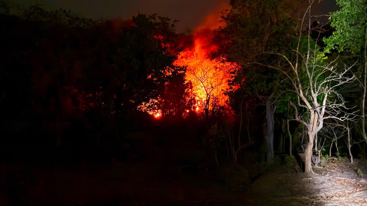 विश्व पर्यावरण दिवस पर जंगल धधकता रहा, बांसला की पहाड़ी से सामने आई तस्वीरों ने खड़े किए कई सवाल