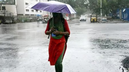 छत्तीसगढ़ में मानसून का असर तेज, 1 हफ्ते तक बारिश की संभावना