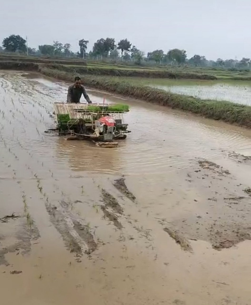 किसान अब उन्नत तकनीक की ओर अग्रसर, पैडी ट्रांसप्लांटर विधि से धान रोपाई