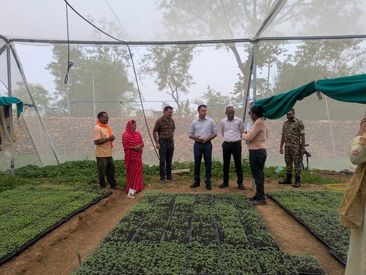 आईएफसी परियोजना ने बदली जिंदगी :नर्सरी उद्यमी बनकर बनी आत्मनिर्भरता की नई पहचान
