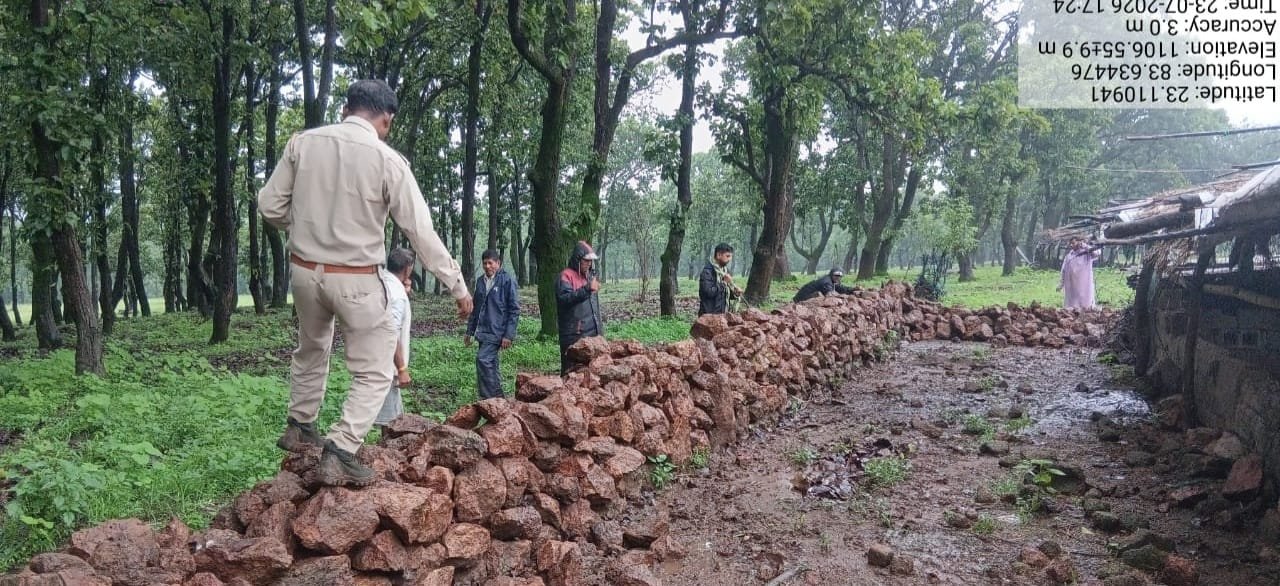वन विभाग की बड़ी कार्रवाई: अवैध अतिक्रमण हटाकर वनभूमि कराई मुक्त, तत्काल शुरू किया गया पौधरोपण