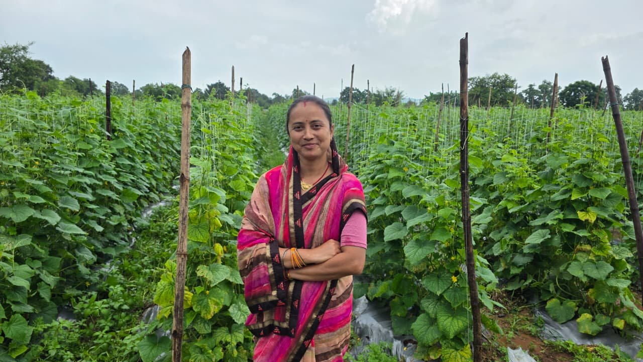 खेतों में खीरे की फसल से खिली खुशियां, बिहान से कल्पना बनीं ‘लखपति दीदी’