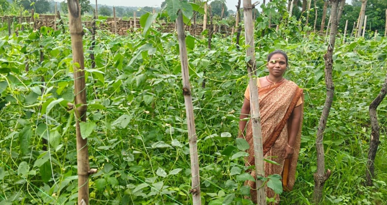 वैज्ञानिक खेती से बदली तस्वीर: मचान विधि अपनाकर विमला दीदी बनीं किसानों के लिए प्रेरणा
