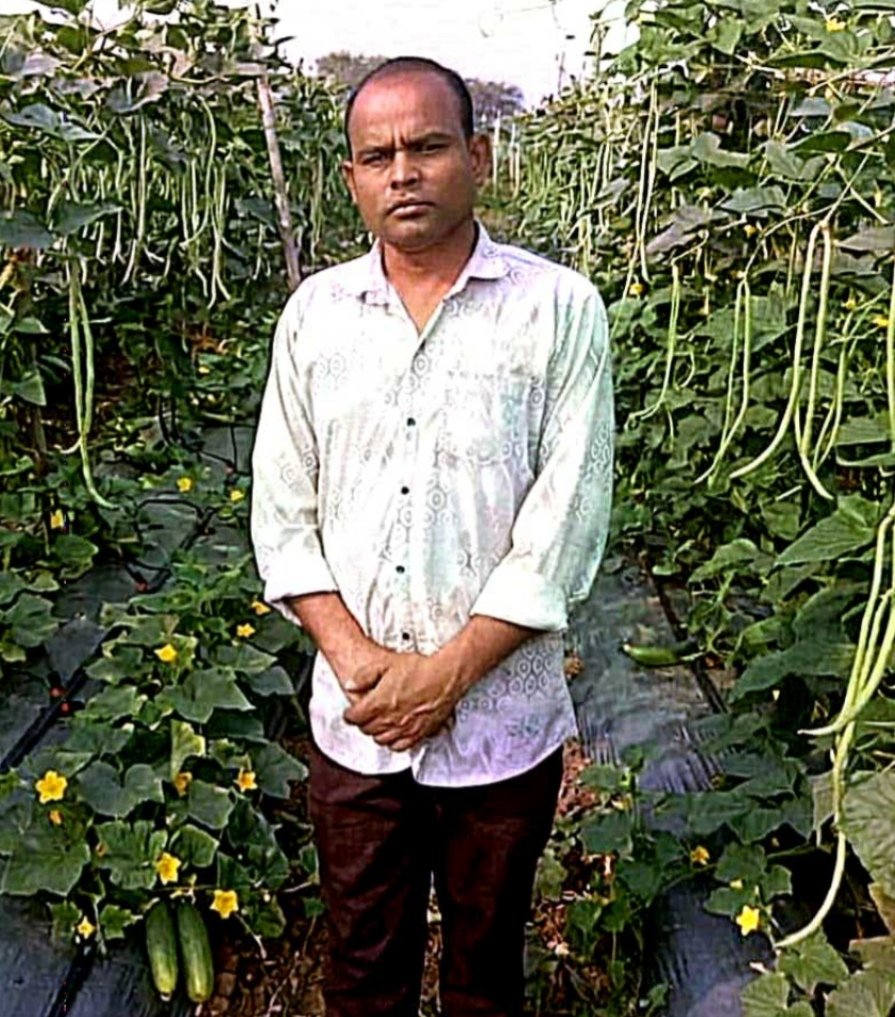 फसल परिवर्तन से बढ़ा उत्पादन और मुनाफा