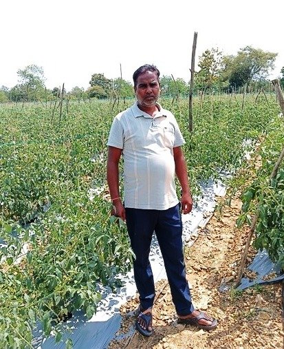 : सेवा की कहानी : कम पानी में खीरे की खेती से मुकेश ने कमाए 2.25 लाख रुपये, अब 4 एकड़ में टमाटर की तैयारी