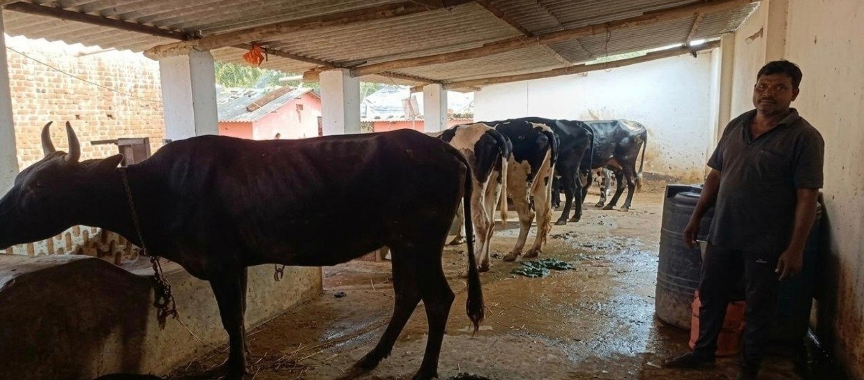 : महेश नाग का कच्चे शेड से शुरू हुआ सफर अब पक्के मकान और सफल डेयरी व्यवसाय तक पहुंचा