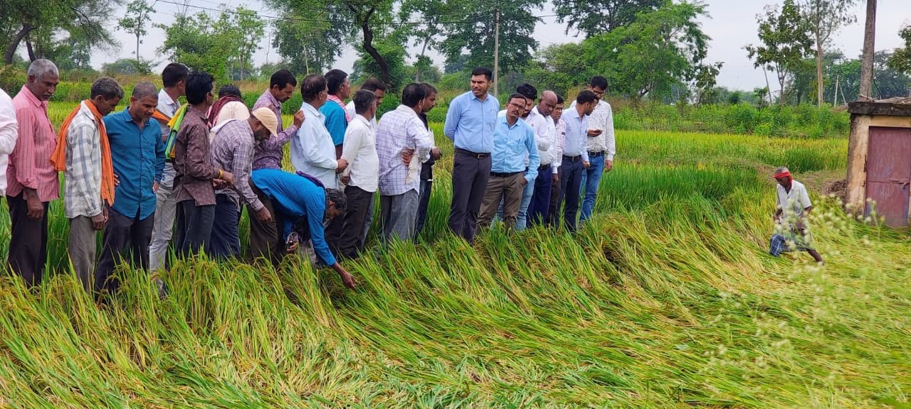 अर्नब तूफान से प्रभावित किसानों को राहत देने सक्रिय हुआ प्रशासन, फसल क्षति का सर्वे शुरू